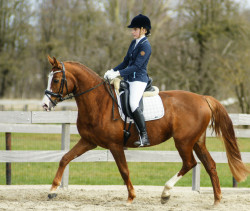 Afbeelding invoegen