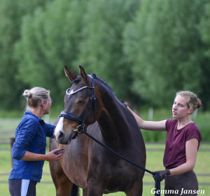 Afbeelding invoegen